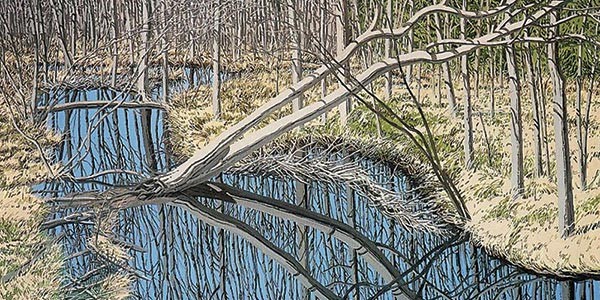 Painting of a bare tree reflected in a calm forest stream surrounded by leafless trees and grass.