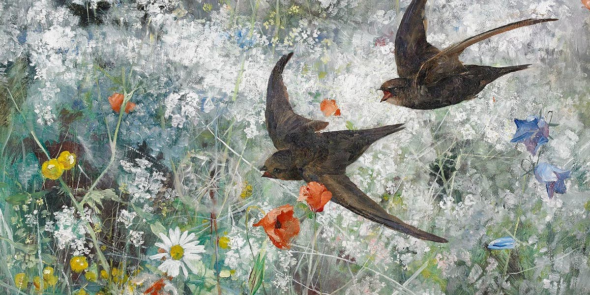Two swallows flying above a wildflower field with white, yellow, orange, and blue flowers.