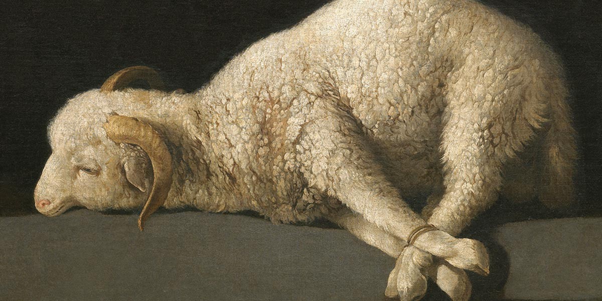 Painting of a white sheep lying down with legs tied and eyes closed against a dark background.