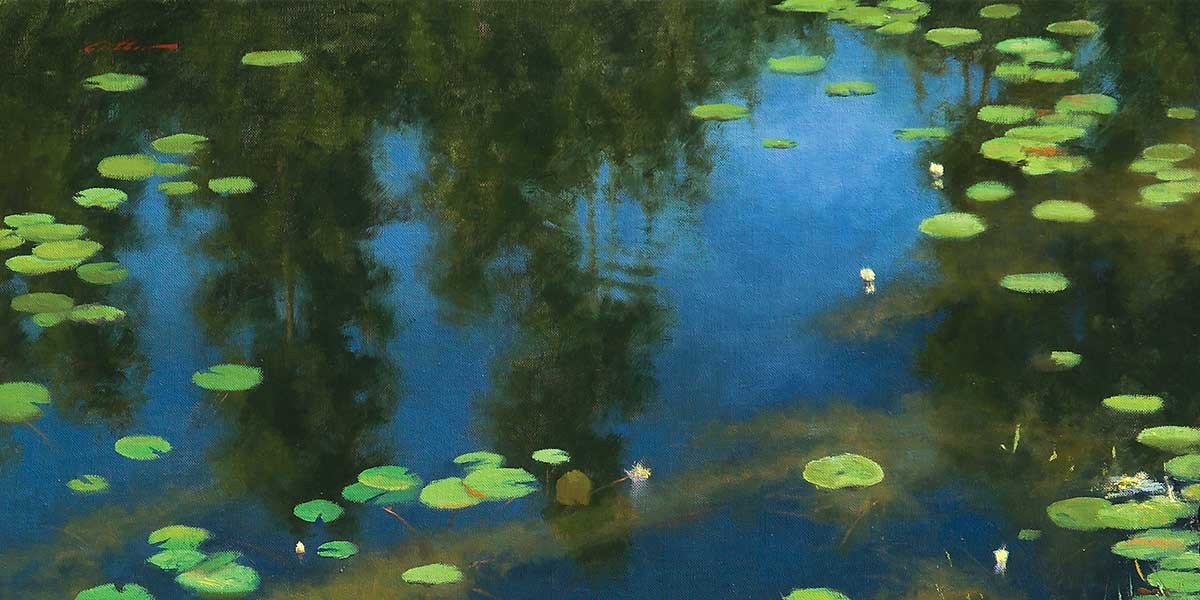 Reflection of trees on blue water with scattered green lily pads and small white flowers.