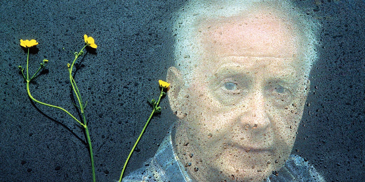 Elderly man behind a rain-spotted glass with three yellow flowers pressed against it.