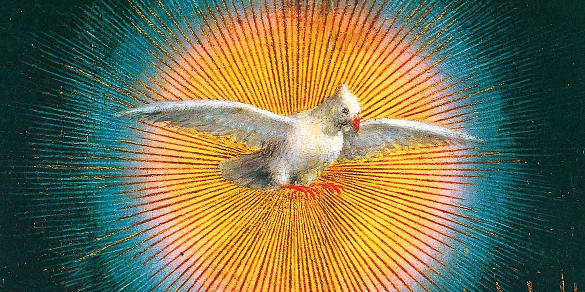 White dove with outstretched wings in front of a radiant orange and blue circular halo.