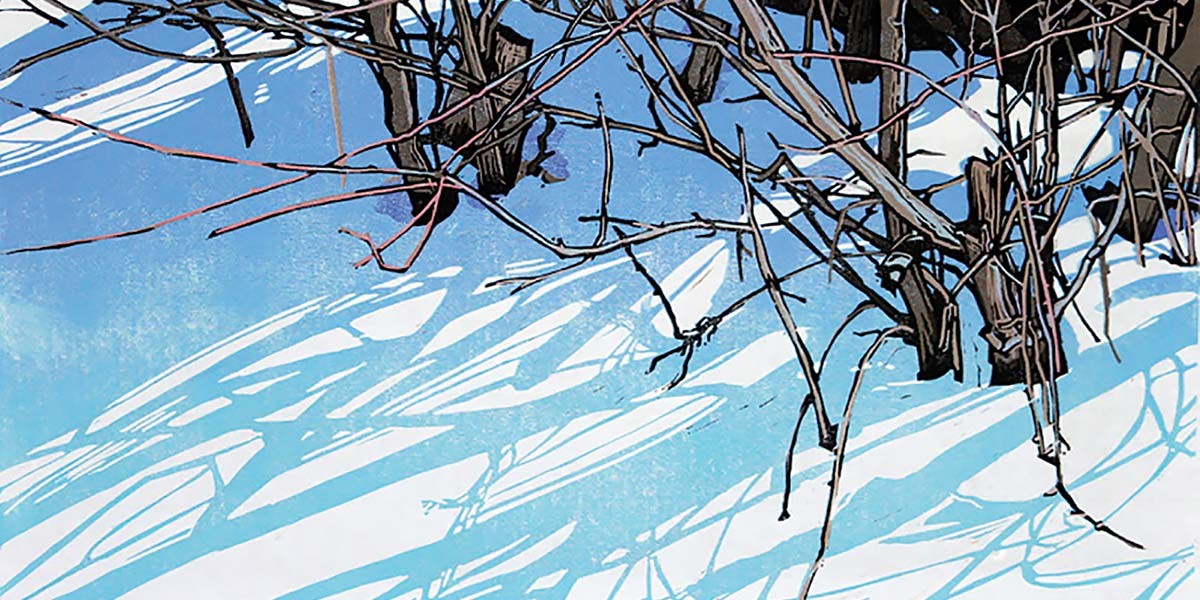 Leafless branches casting shadows on snow with a bright blue sky background.