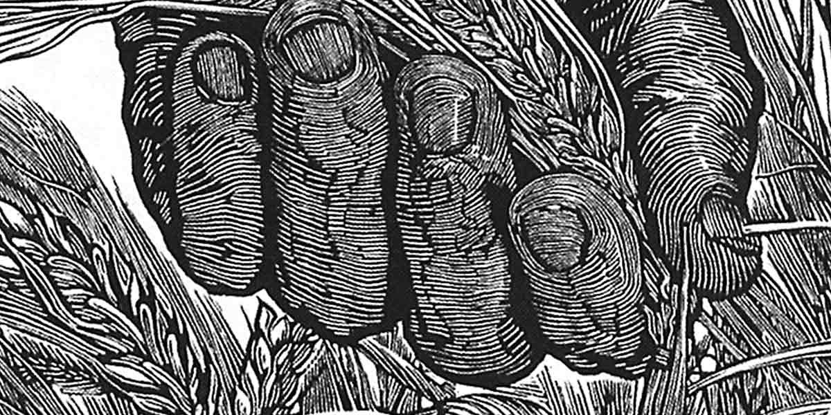 Black and white woodcut-style close-up of a clenched hand holding wheat stalks.