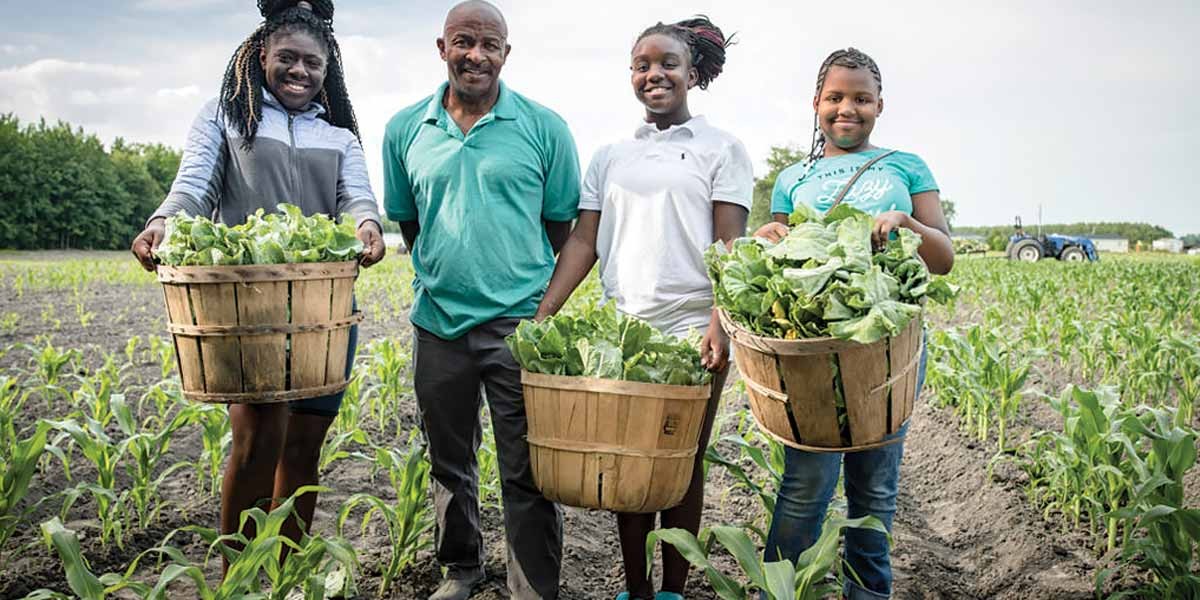 Four people standing in a field holding baskets full of freshly picked leafy green vegetables.