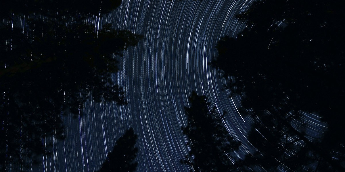 Star trails in the night sky above silhouetted tall trees in a forest.