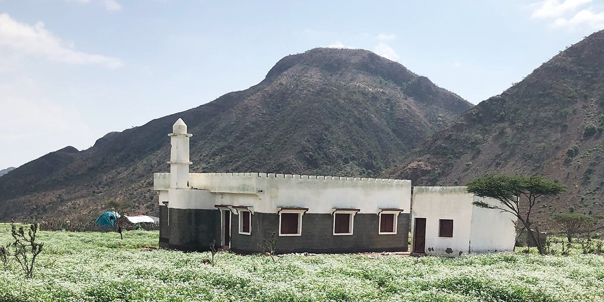 Small mosque with white tower in a field of white flowers with mountains in the background.