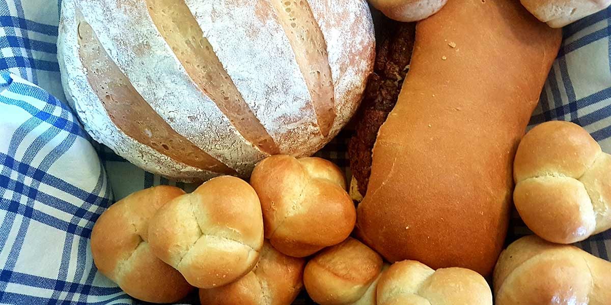 Assorted fresh bread including rolls and loaves on a blue and white checkered cloth.