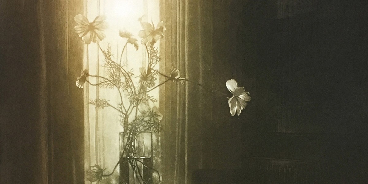 Dimly lit room with a vase of flowers silhouetted against a bright window with curtains.