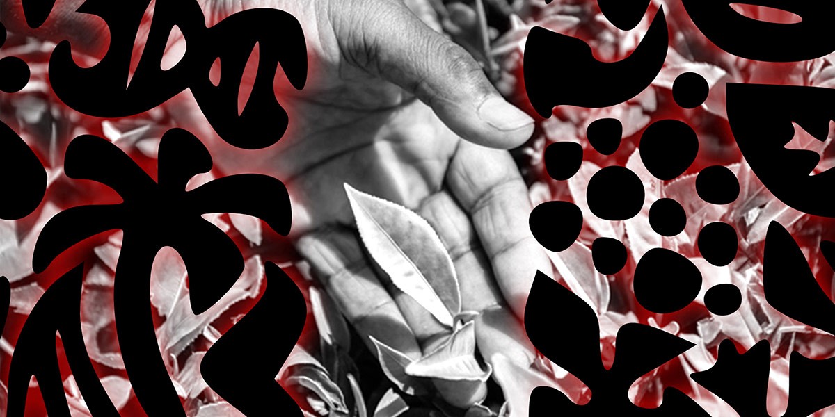 Black hand holding tea leaves surrounded by coffee plant symbols with a red and black background.