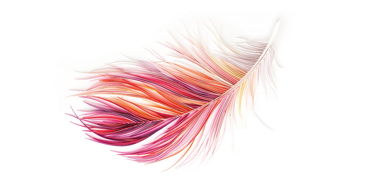 Colorful feather with shades of pink, red, orange, and purple on a white background.