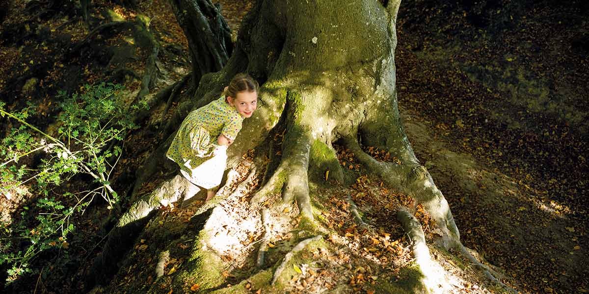 Young girl in a floral dress standing barefoot among large tree roots in a forest with sunlight spots.