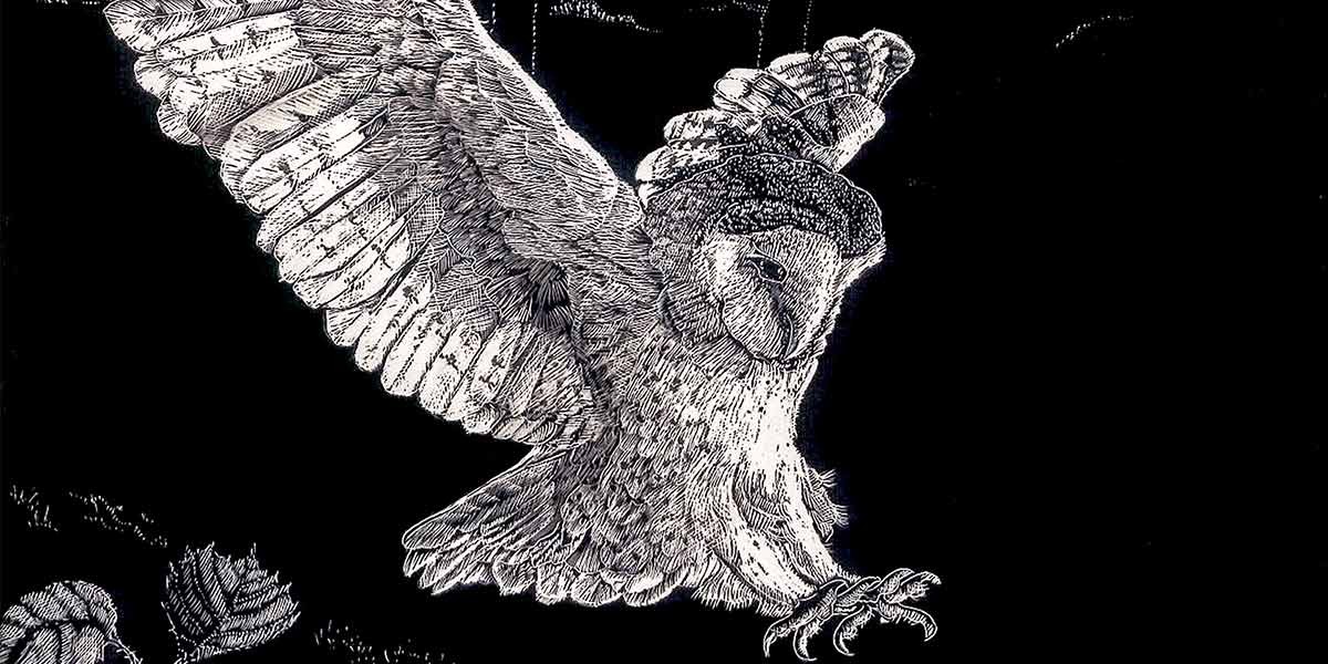 Black and white detailed drawing of an owl swooping with wings spread and claws extended.