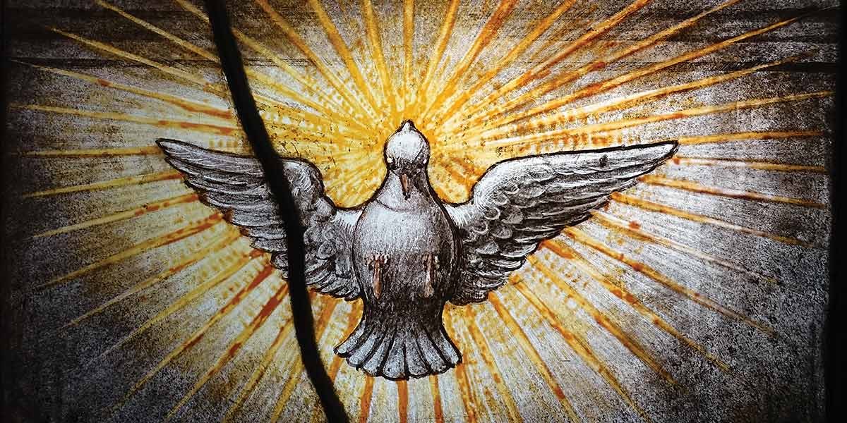 Stained glass image of a white dove with wings spread against yellow rays of light background.