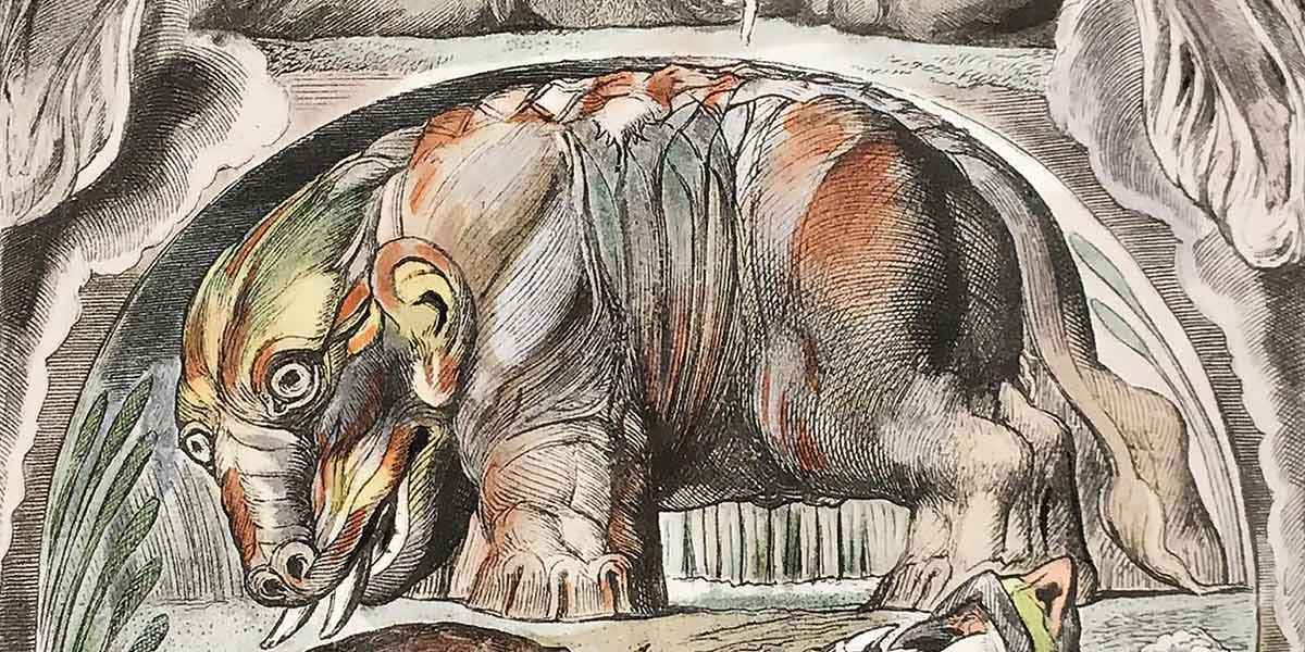 Colorful illustration of a fantastical elephant-like creature with exaggerated features and tusks.