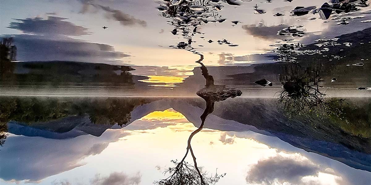 Sunset over calm water reflecting a lone tree and mountains on both sides.
