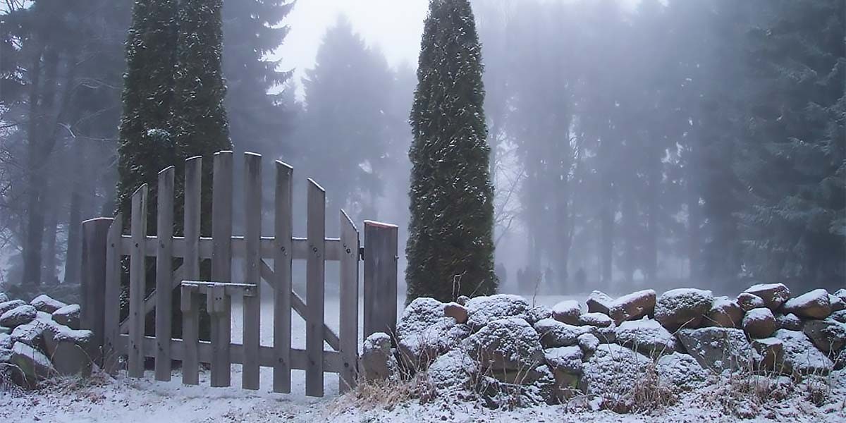 Wooden gate and stone wall covered with snow in a foggy forest landscape.