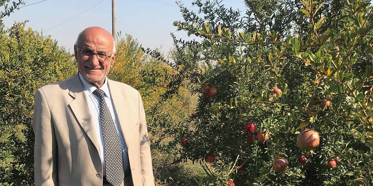 Smiling elderly man in beige suit and patterned tie standing near a lush pomegranate tree outdoors.