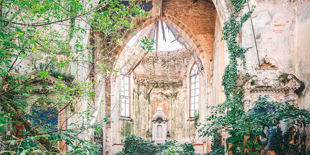 Overgrown abandoned church interior with arch windows, exposed brick, and dense green foliage inside.