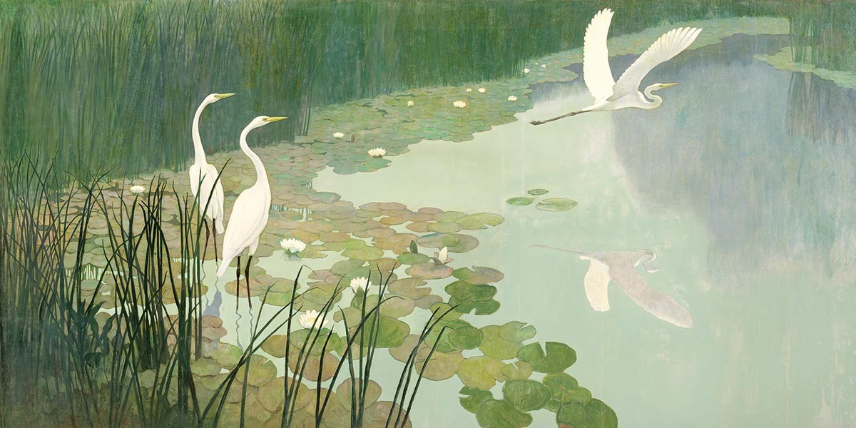 Two white herons standing in a lily pond and one heron flying above the water.