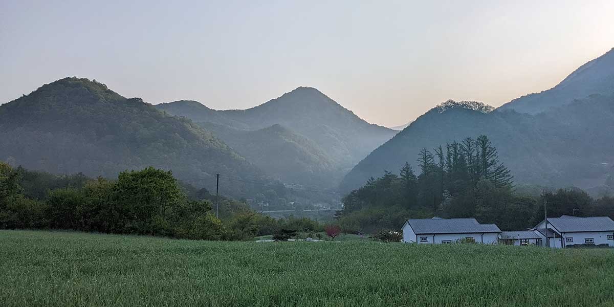 Green field in front of houses with tree-covered mountains in soft morning light.