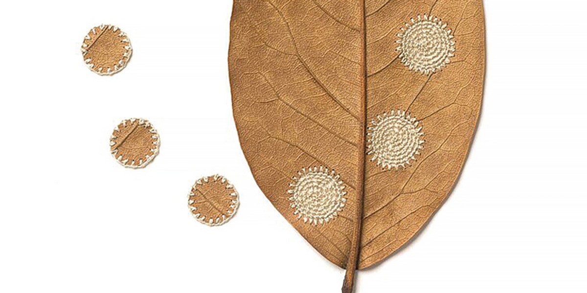 Dried brown leaf with circular coral-colored embroidery patches on and around it on a white background.