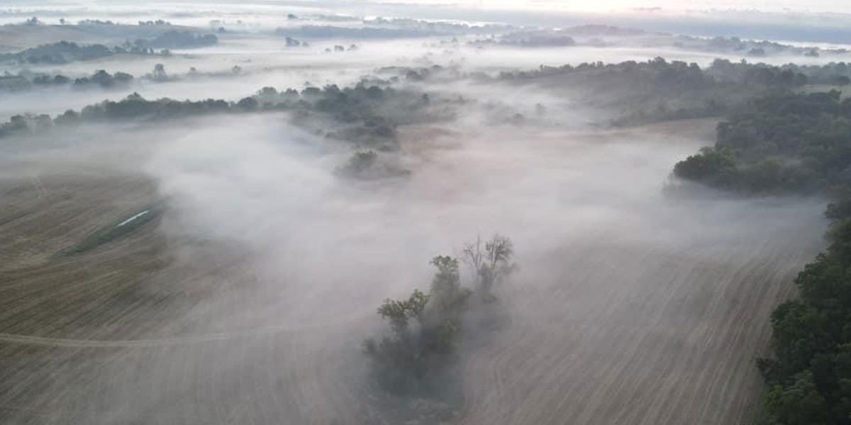 Aerial view of fog-covered fields and scattered trees early in the morning over farmland.