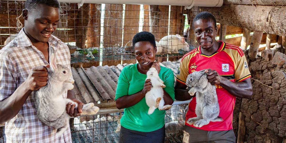 Three people holding rabbits inside a wooden and wire animal pen, smiling together.