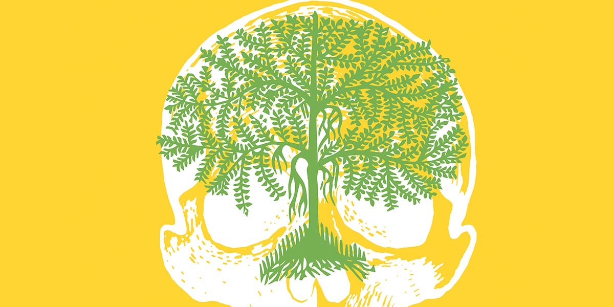 White skull silhouette with a green leafy tree growing inside, on a bright yellow background.