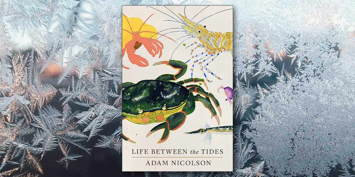 Book cover for Life Between the Tides by Adam Nicolson with illustrations of a crab, shrimp, and lobster.
