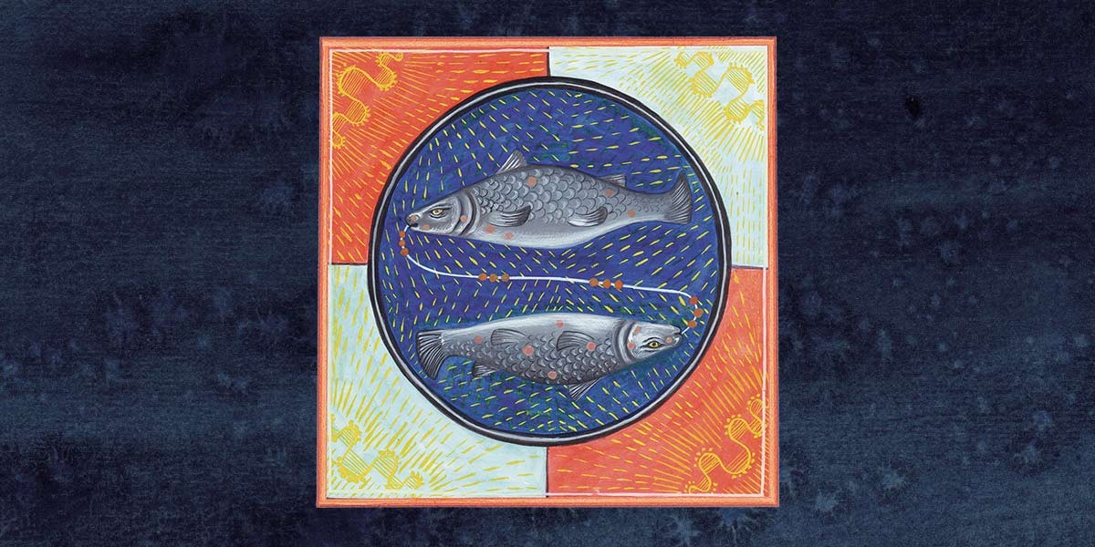 Artistic illustration of two fish swimming opposite in a circular blue background with orange and white square border.