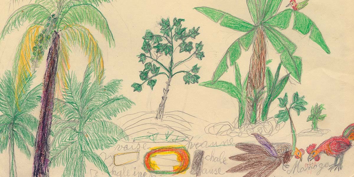 Colored pencil drawing of various tropical plants and birds on beige paper with faint handwriting.