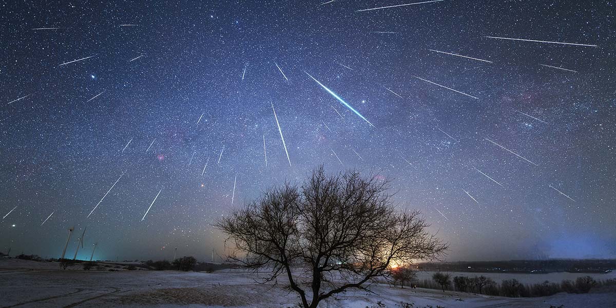 Night sky filled with multiple bright meteor streaks over a snowy landscape with a leafless tree.