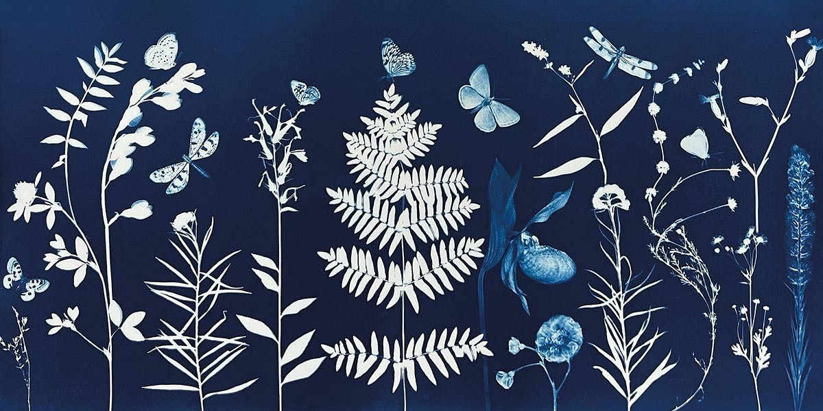 White and blue botanical silhouettes of various plants and insects against a dark blue background.