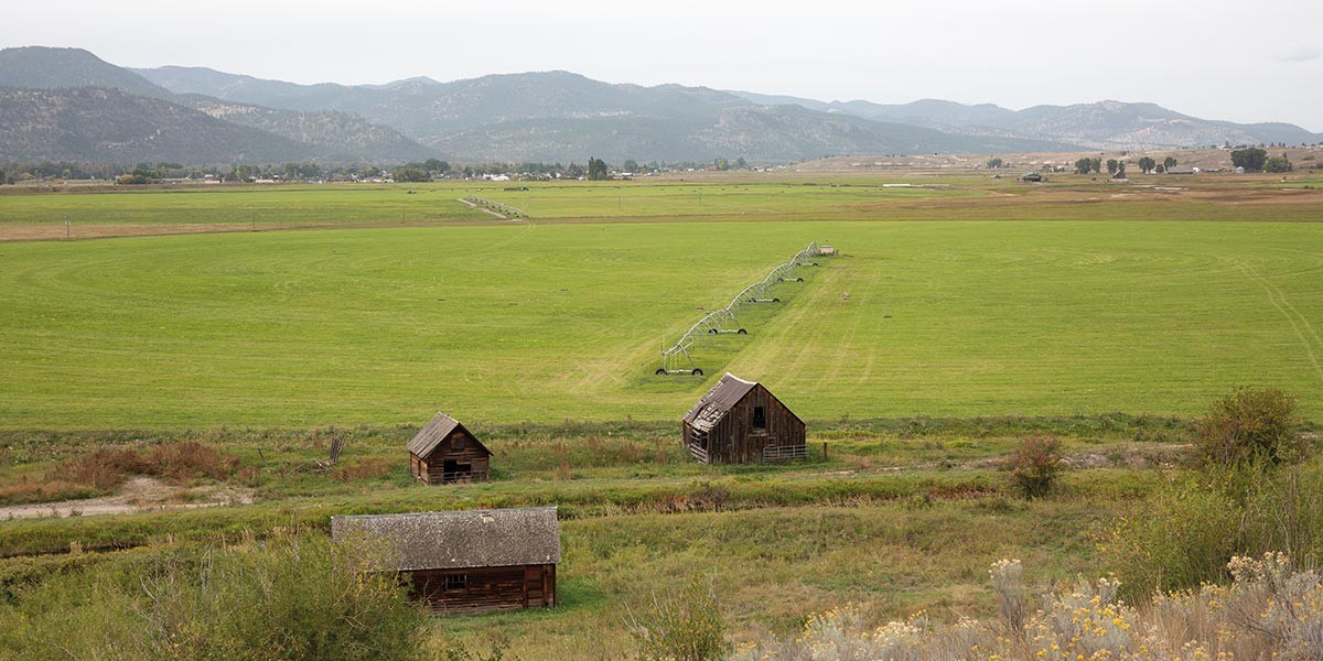 Wide green field with three small wooden barns and mountains in the background under a cloudy sky.