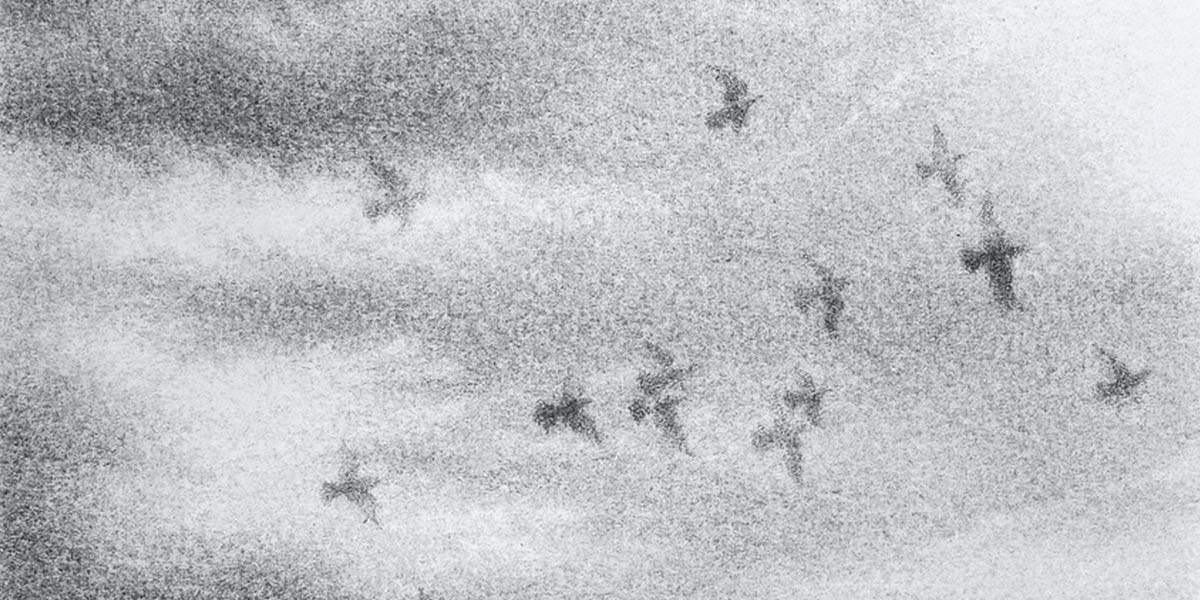 Grainy black and white image of several birds flying against a cloudy sky.