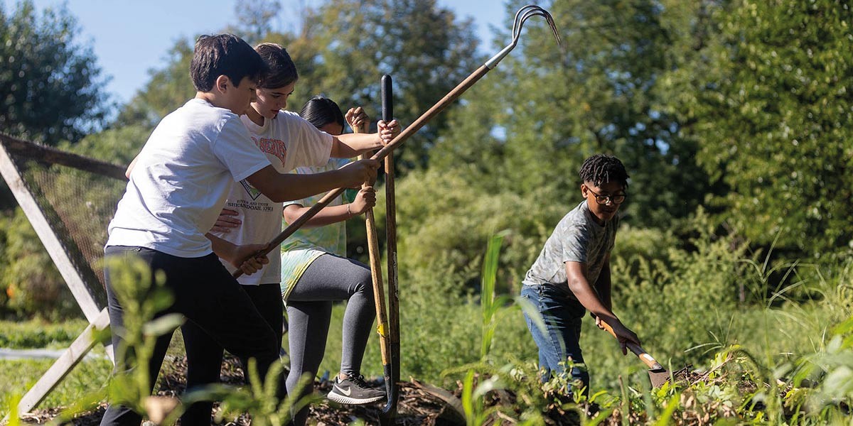 Four young people using garden tools while working outdoors in a green, sunny garden area.