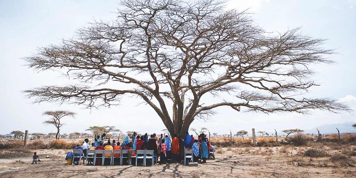 Group of people sitting and standing under a large leafless tree in a dry, open landscape.