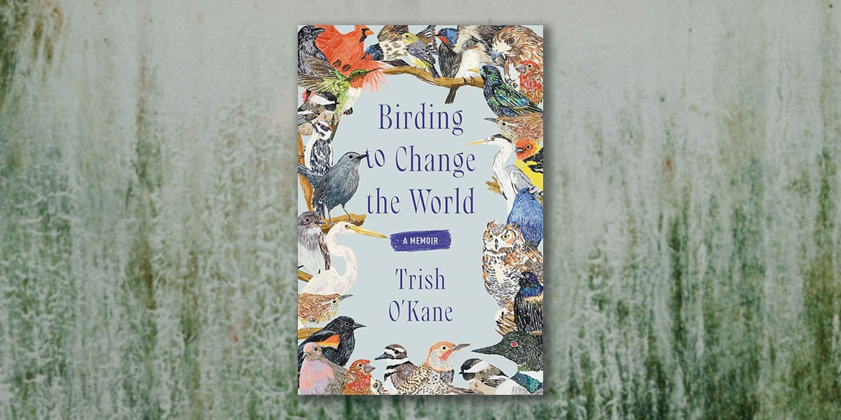 Book cover of Birding to Change the World by Trish O’Kane with various colorful bird illustrations.