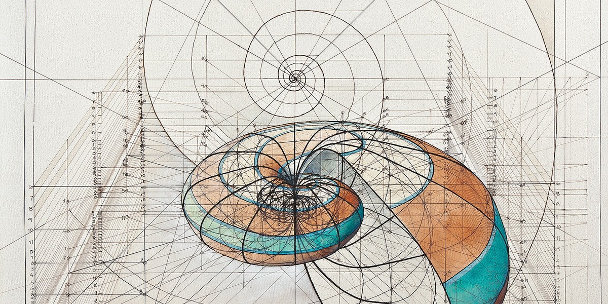 Geometric drawing of a spiral shell with colored bands and complex grid lines and measurements.