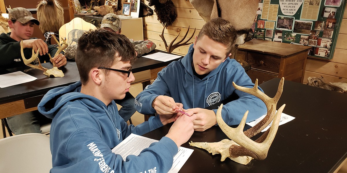 Two young men in blue hoodies examining a small object with deer antlers on the table in a classroom.
