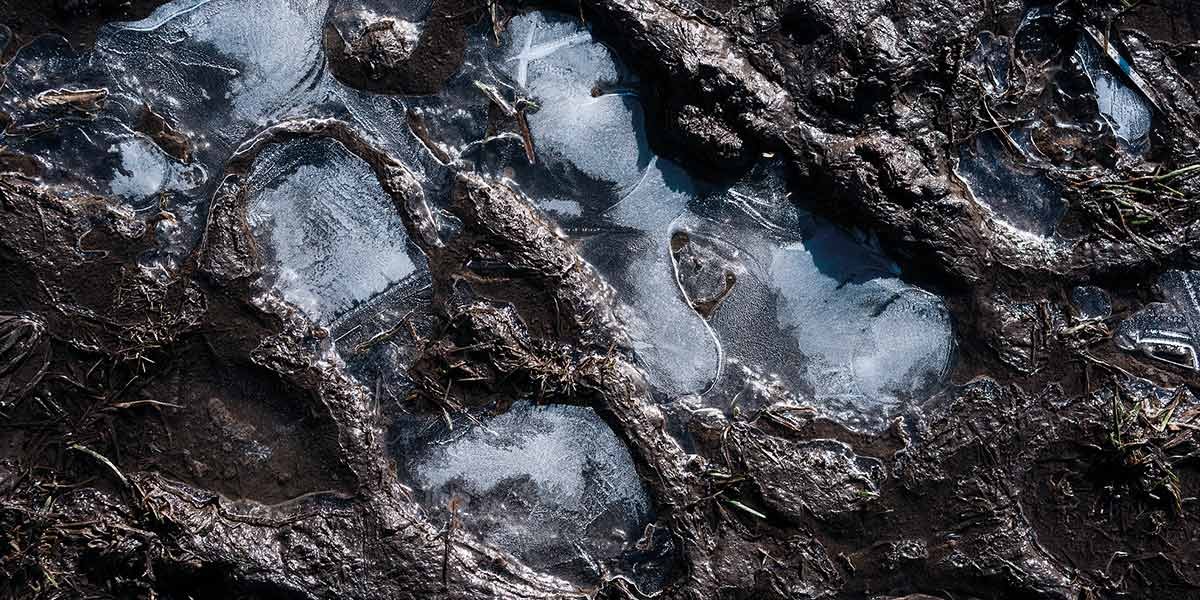 Frozen muddy ground with ice patches and visible dirt and grass debris.