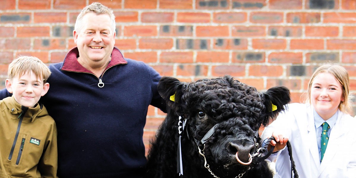 Smiling boy, man, and girl posing with a black bull wearing a nose ring and braided harness.