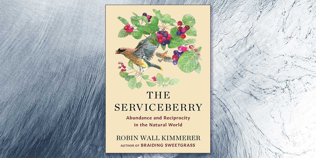 Book cover for The Serviceberry with birds and berries illustration and author Robin Wall Kimmerer.