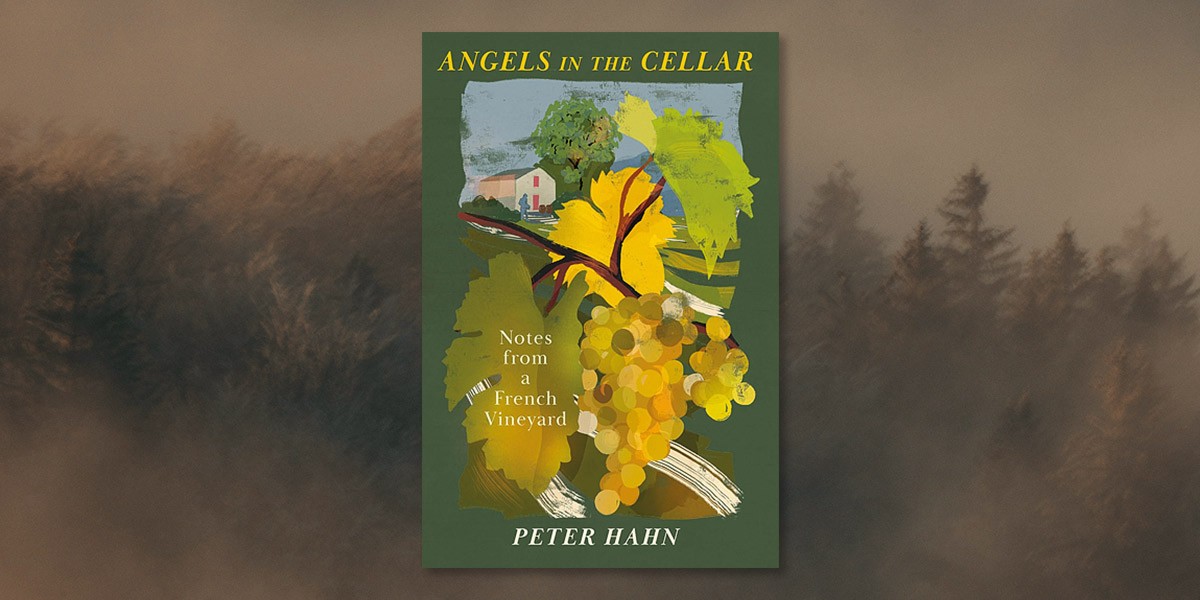 Book cover of Angels in the Cellar showing grapes and leaves with a house and tree illustration.