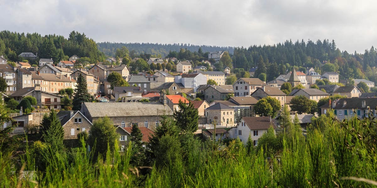 Small town with stone and brick houses surrounded by dense greenery and forest under a cloudy sky.