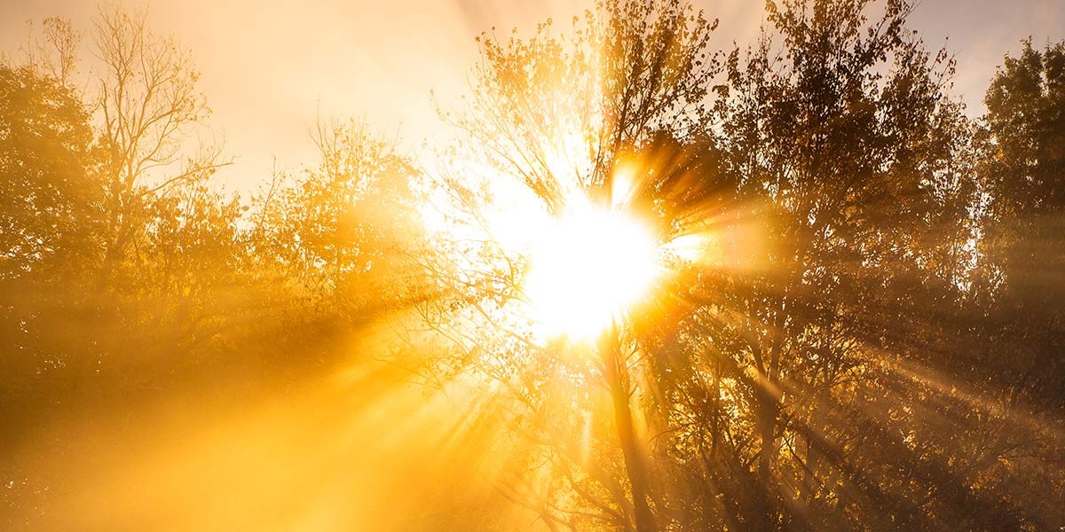 Bright sun shining through autumn trees with golden light rays and warm sky.