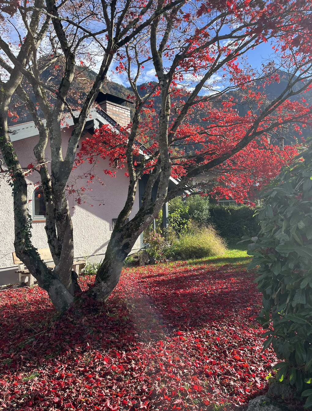Nebensaison im Chiemgau: Warum sich Herbst und Winter lohnen