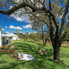 Outdoor picnic setting