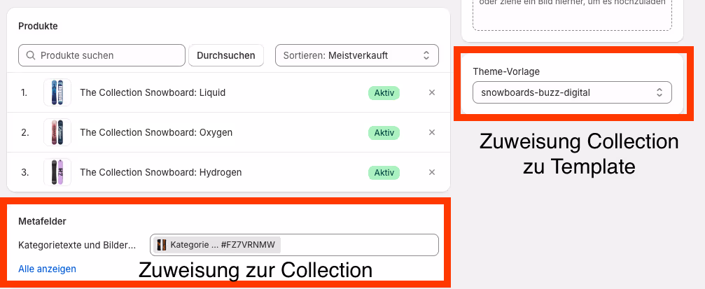 Shopify Collection mit Metafeld / Metaobjekt und Template Vorlage verknüpfen. Praxisbeispiel Buzz Digital
